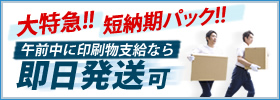 お急ぎの方へ短納期パック！即日発送可能！